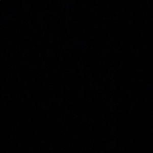 Meet your Posher, Landry